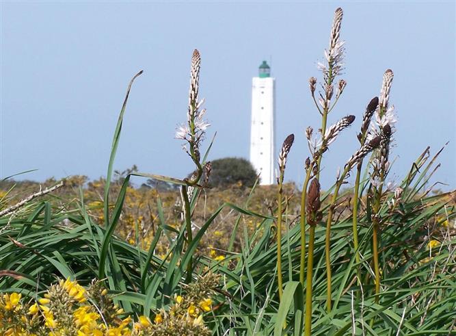 Hotel Ile d'Yeu