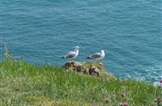 Hotel Ile d'Yeu